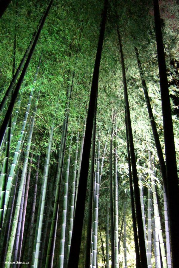 Kyoto Home Higashikujo Bagian luar foto