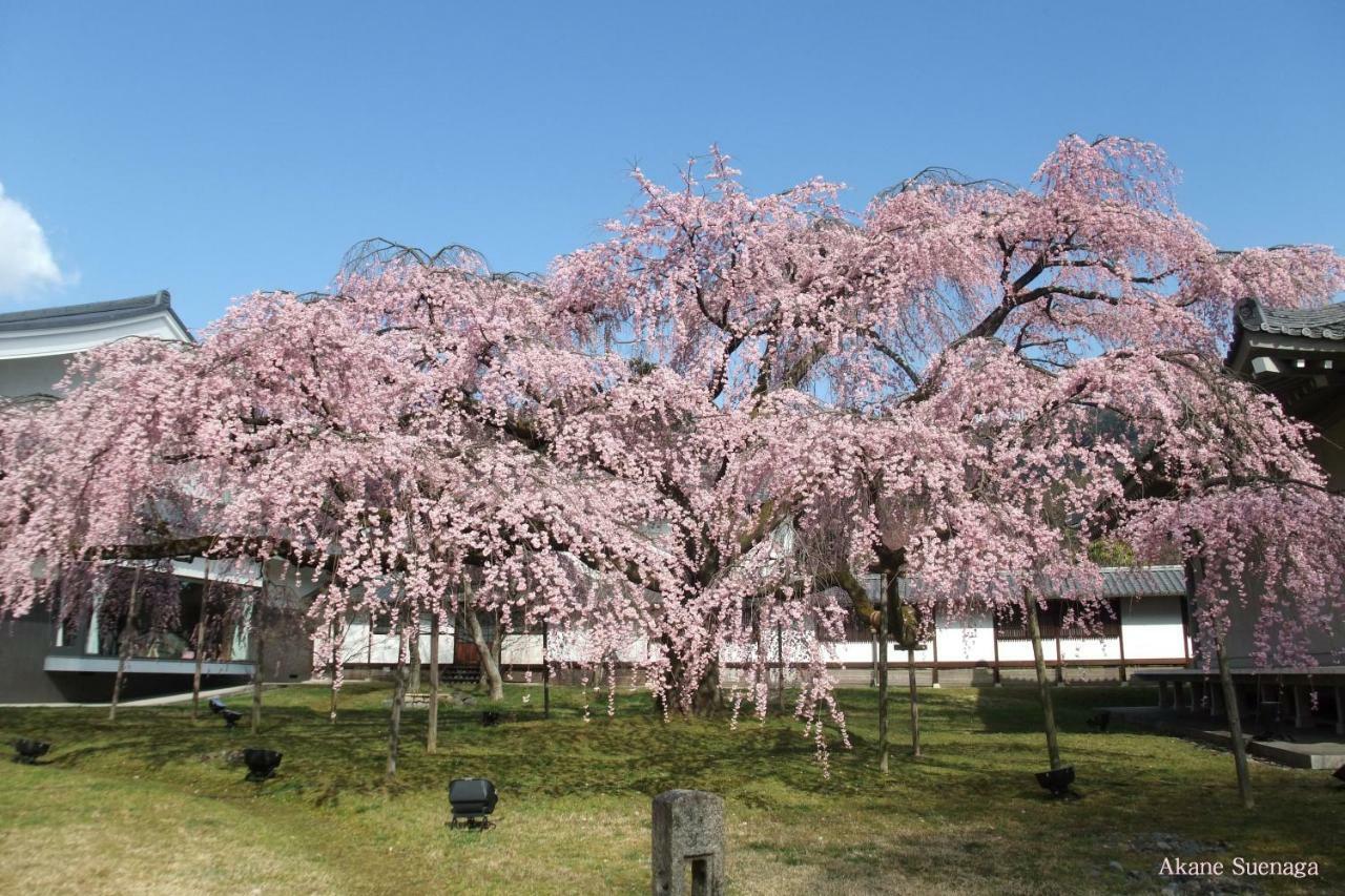 Kyoto Home Higashikujo Bagian luar foto
