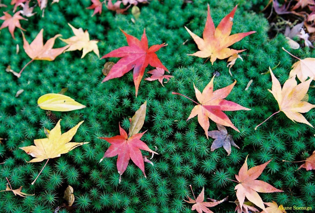 Kyoto Home Higashikujo Bagian luar foto